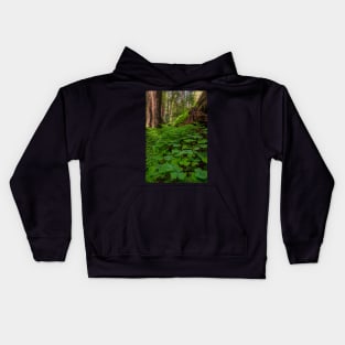 Redwood Sorrel in the Forest Kids Hoodie